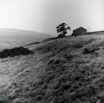 Haworth Moor